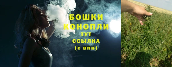 стаф Нефтегорск