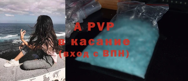 apvp Алзамай