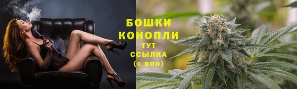 кокс Нея