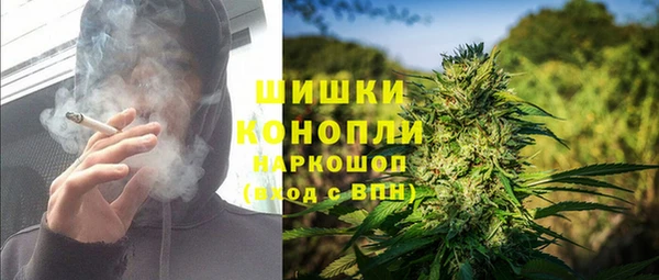 ГАЛЛЮЦИНОГЕННЫЕ ГРИБЫ Новодвинск