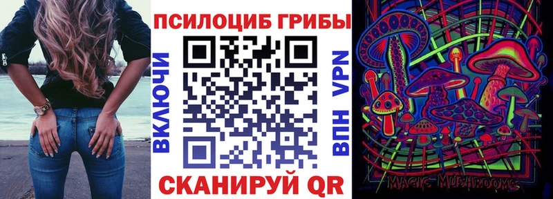 Галлюциногенные грибы мицелий  продажа наркотиков  shop состав  Алзамай  МЕГА ONION 
